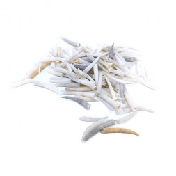 Ракушки натуральные светло-серые в упаковке